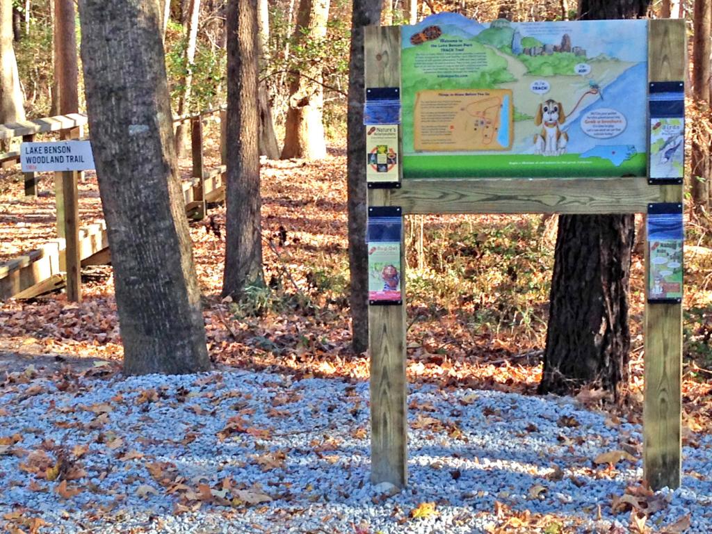 Lake Benson Park Kids in Parks